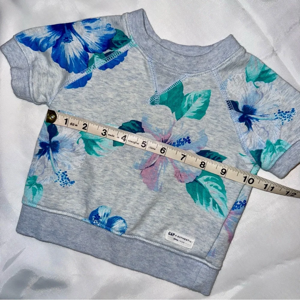 Baby Gap 6-12 mos Girl S/S Gray Blue Pink Big Flowers‎ Fleece/Top/Shirt